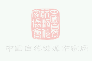 《中國(guó)老年教育發(fā)展報(bào)告（2019-2020）》新聞發(fā)布會(huì)在北京隆重舉行
